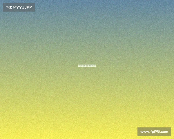 赛事承办单位官方授权证书